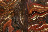 Polished Tiger Iron Stromatolite Bookends - Billion Years #129429-2